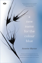 A New Name for the Colour Blue - ebook: pdf