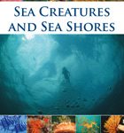 Sea Creatures and Sea Shores