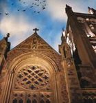 Small City Tales of Strangeness and Beauty